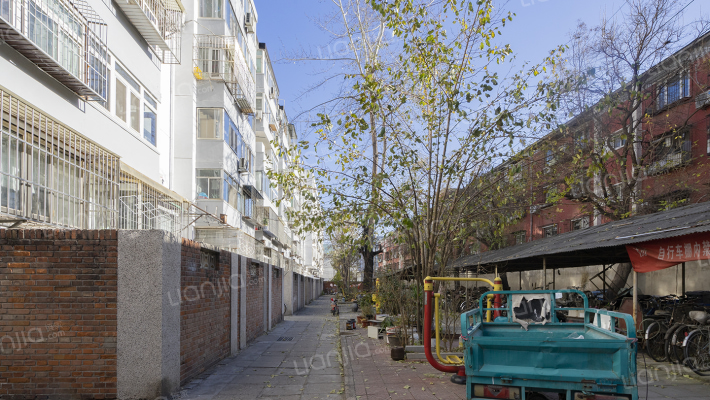 小黄庄前街外景图