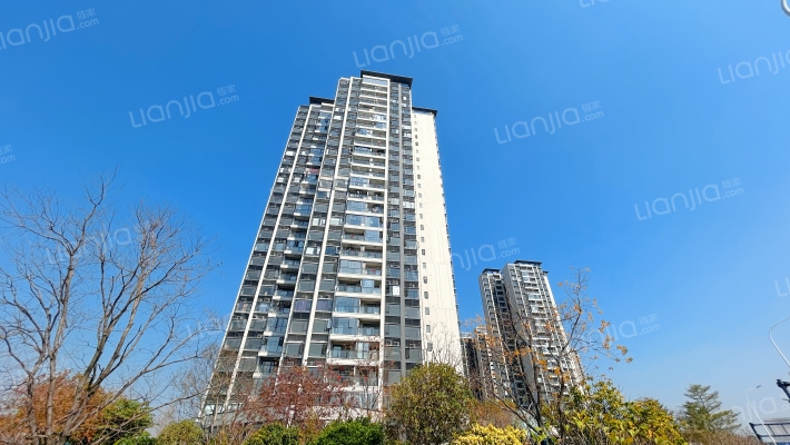 金地中南新城大境外景图