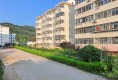 龙泉小区6