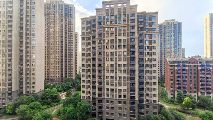 华地森林湖外景图