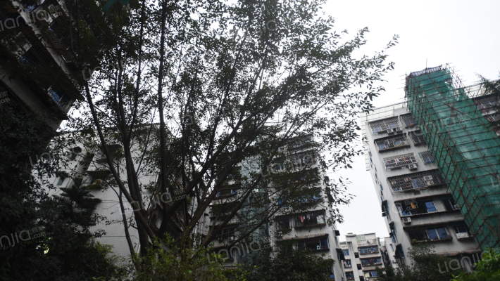 渝北园丁新村外景图