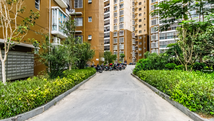 绿园小区外景图