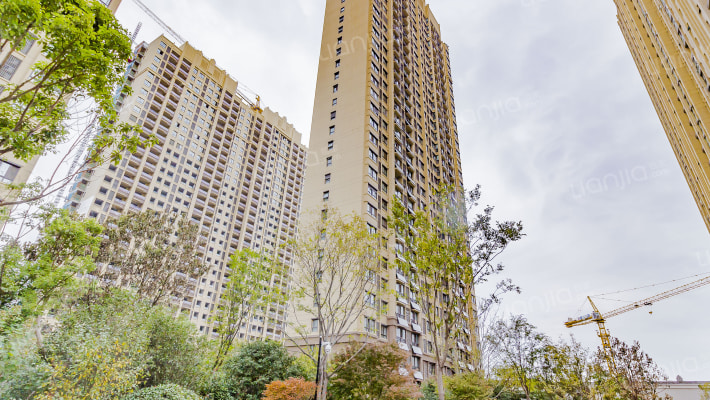 红星国际广场外景图