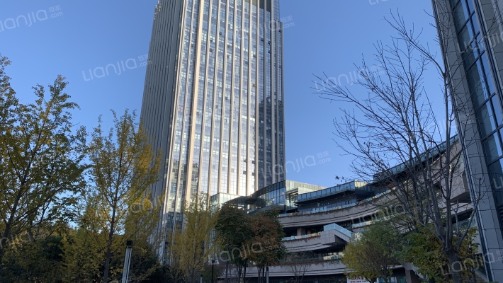 白桦林国际外景图