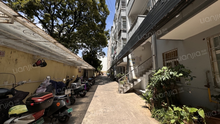 文林街162号外景图