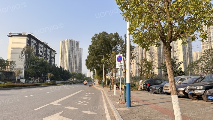 长江著江合外景图