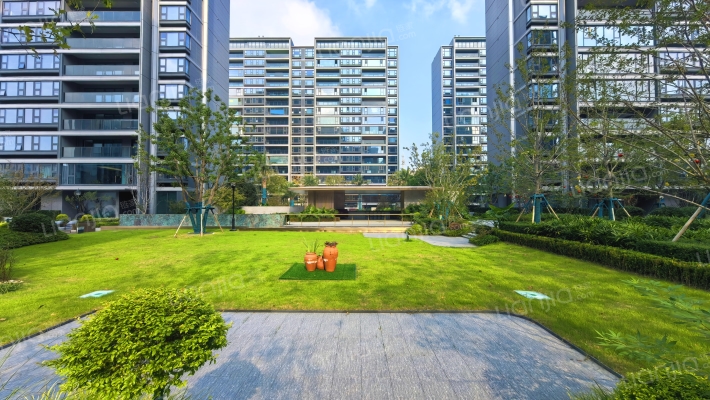 凤栖星澜外景图