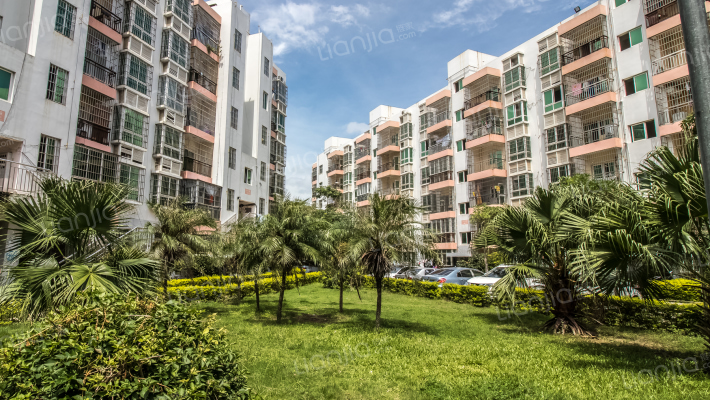 龙珠新村·E区外景图