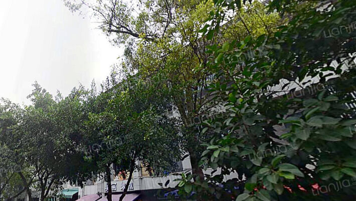 成都送仙桥古玩艺术城外景图