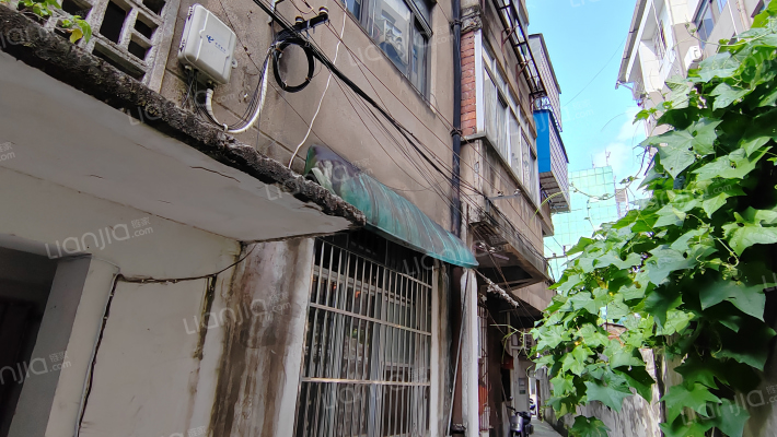 阮家凉亭8号外景图