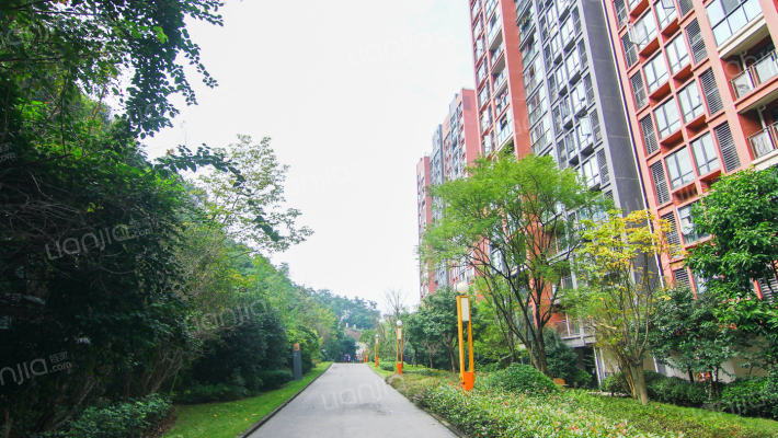 康田漫香林外景图