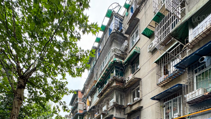 大学路1号外景图