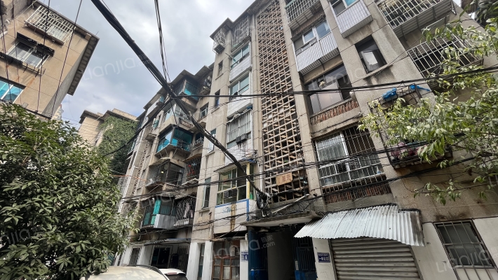 鲤鱼西巷9号外景图