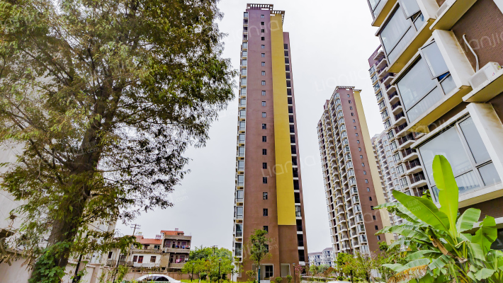 住开盛世长江外景图