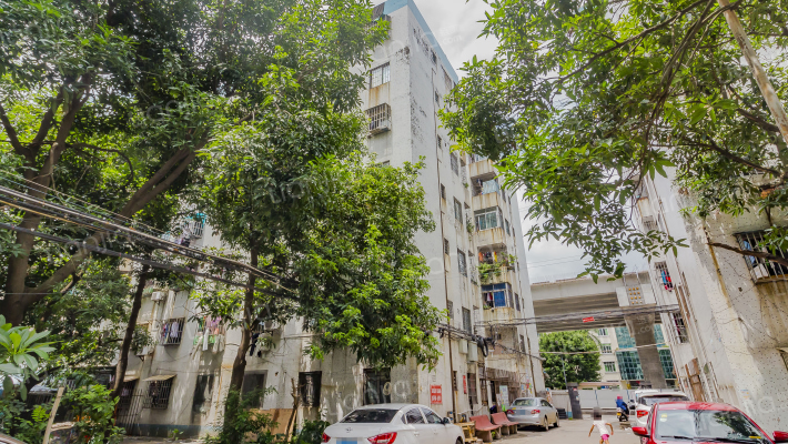 成功花园外景图