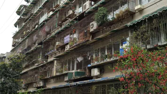 东风路北二巷4号外景图