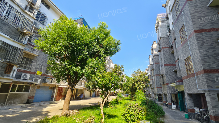 垂虹家园外景图