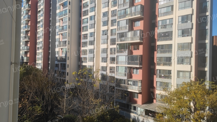 朝花曦拾外景图