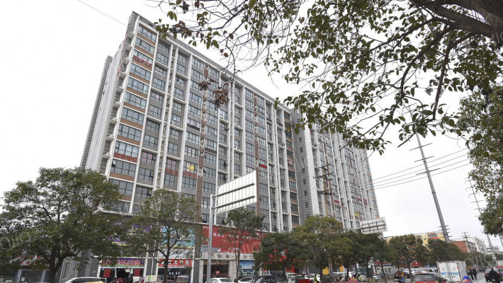 扬子大厦外景图