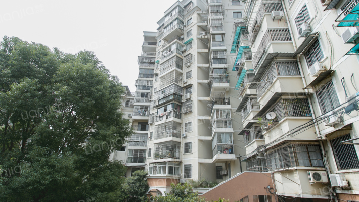 金宏大厦外景图