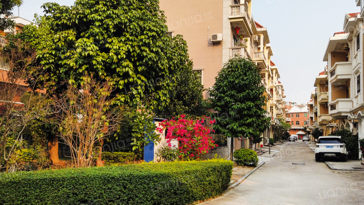 凤祥小区外景图