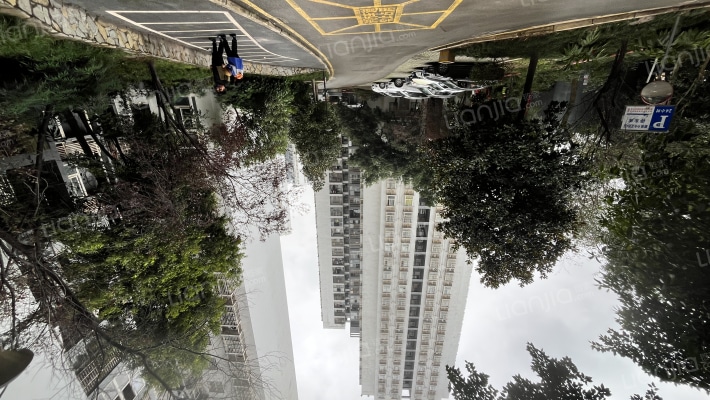 麒雅中央花园A区外景图