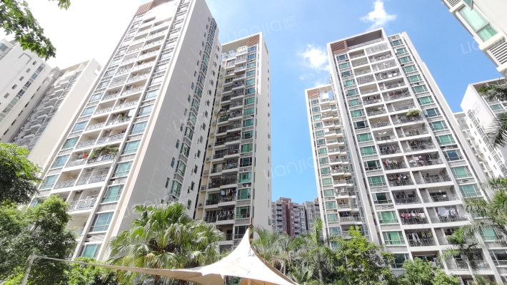 美林玉桂山外景图