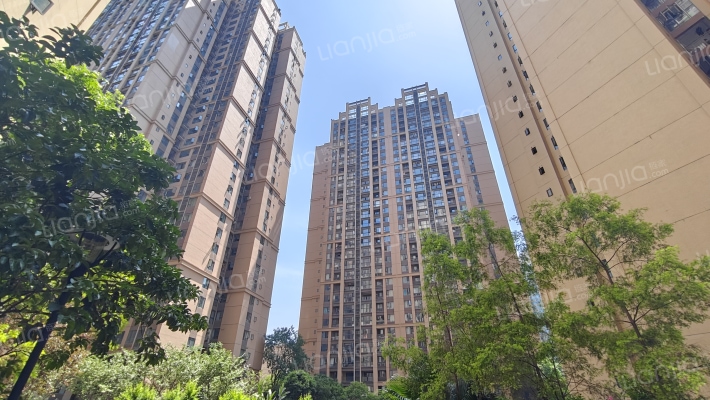 滨江翠屿外景图