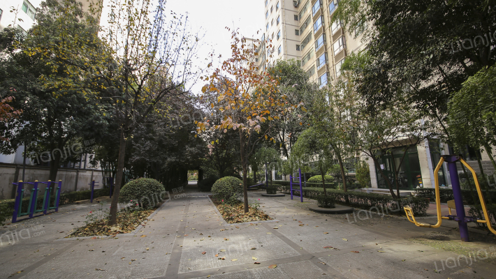 粮食局家属院外景图