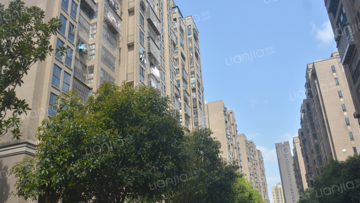 东岸梅园外景图