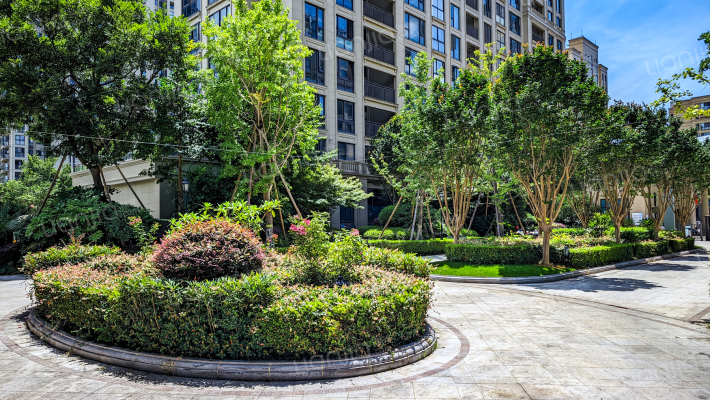 绿城锦园华庭外景图