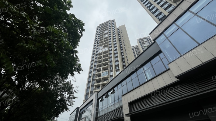 金辉悦步公馆外景图