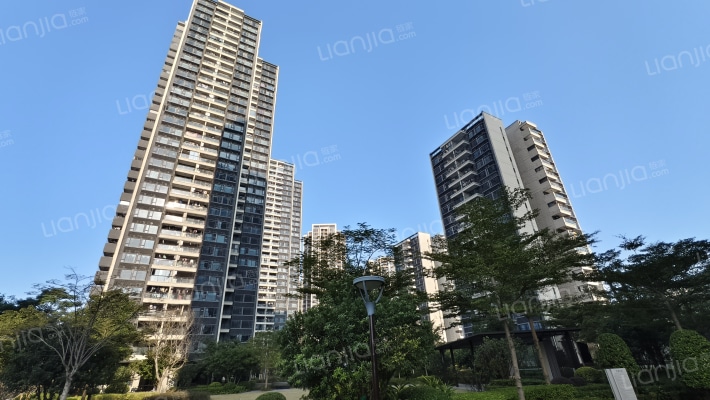 卓越弥敦道御府外景图