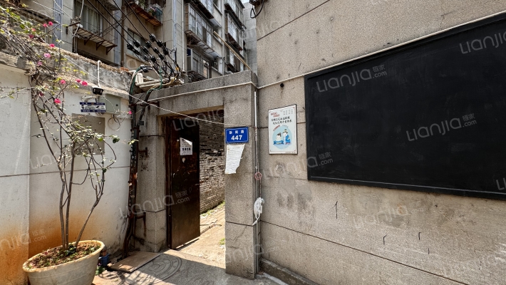 新闻路447号外景图