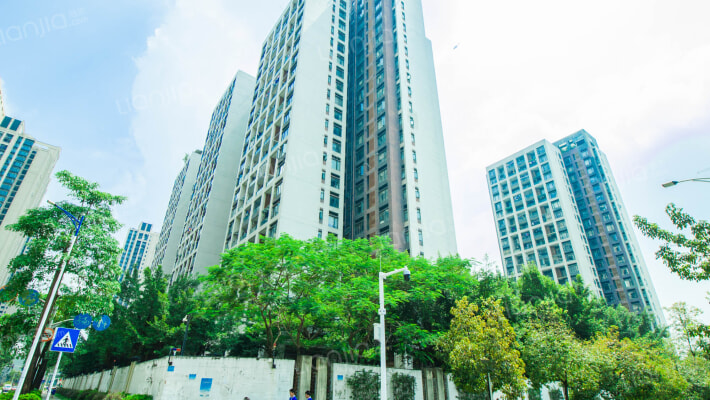 万科金域东郡外景图