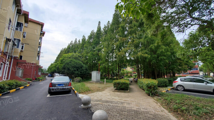 五四农场洪卫新村外景图