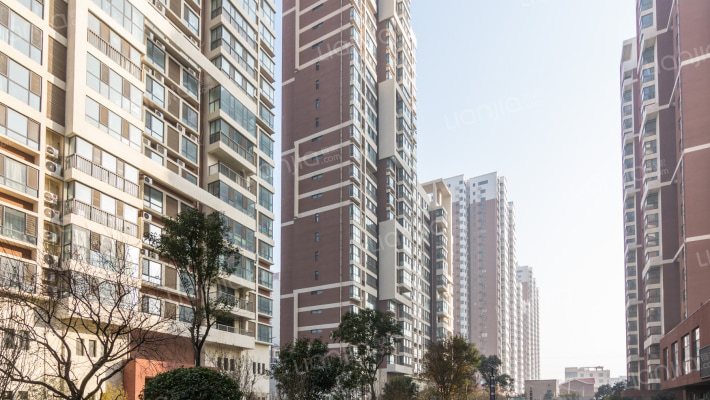 西湖水岸外景图