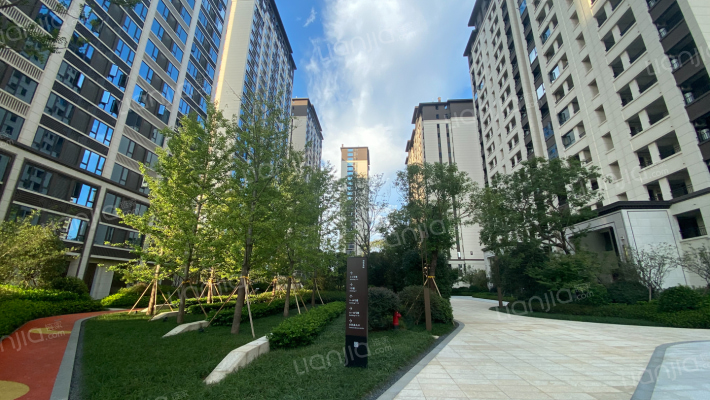 红星金义天铂外景图