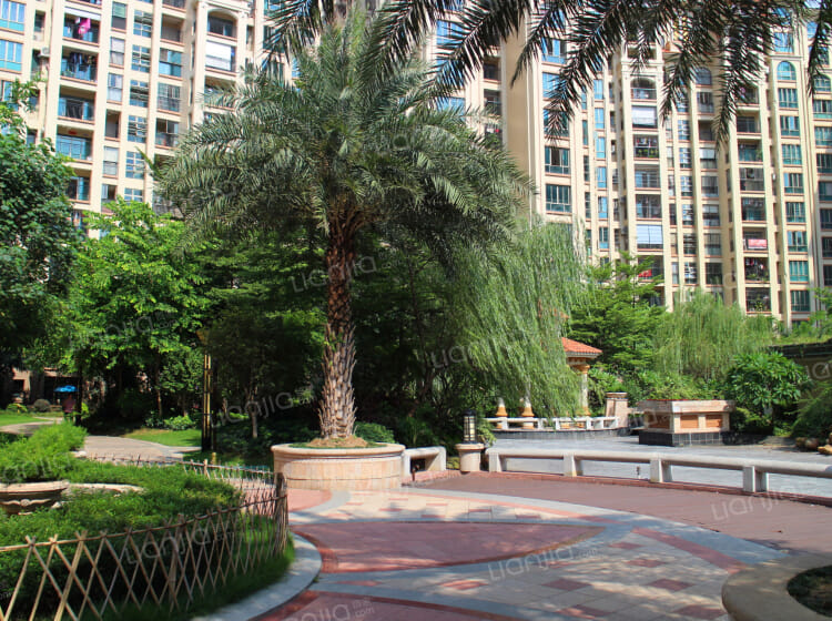 罗村风度广场_广州罗村风度广场楼盘详情(广州链家新房)