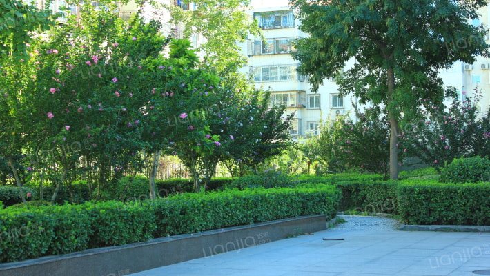 东花市北里西区外景图