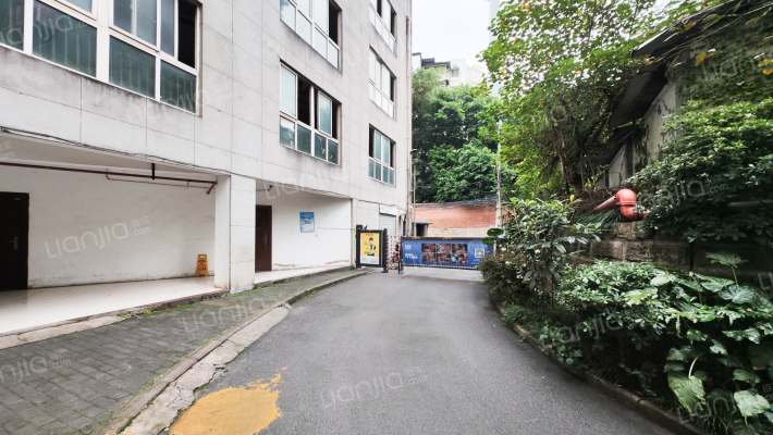 森柯自然印象外景图