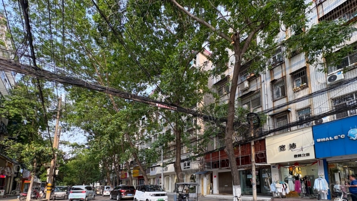 劳动局家属院外景图