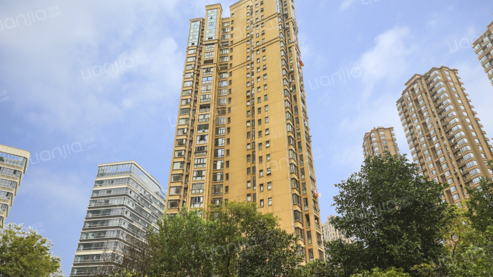 滨江国际外景图