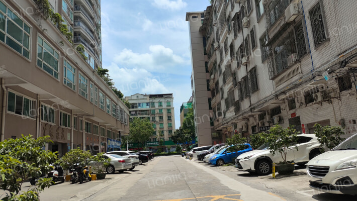 莲园西路外景图