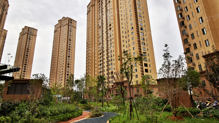 长堎新村(五区)外景图