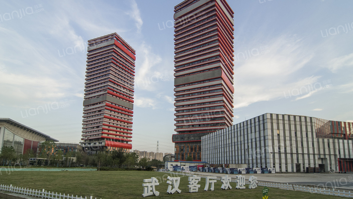 武汉客厅外景图