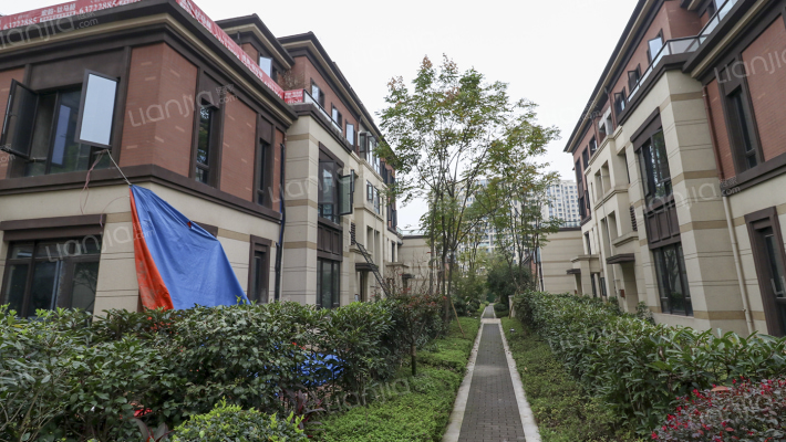 鲁能领秀城4街区北区外景图