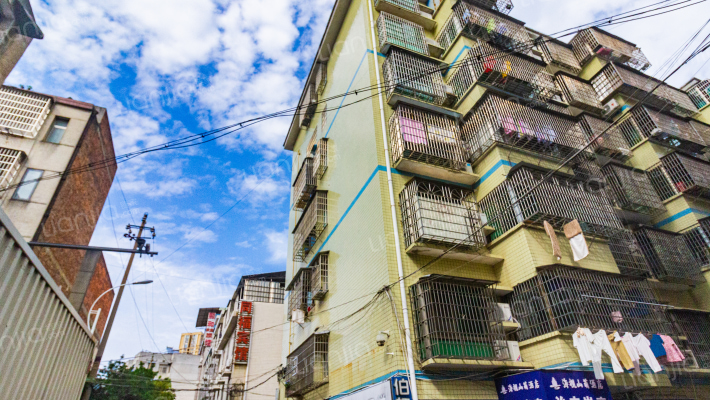 金沙中路四巷4号外景图