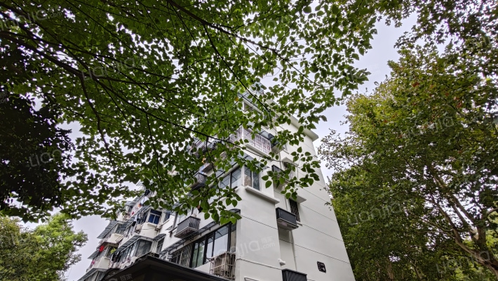 莫干山路599号外景图