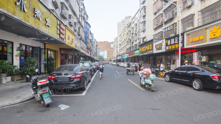 江滨中路外景图